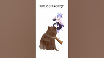 Anh định săn em vào lúc tối nay #cheems #memes #baoexeteam