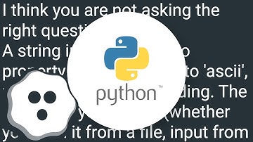 How to check if a string in Python is in ASCII?