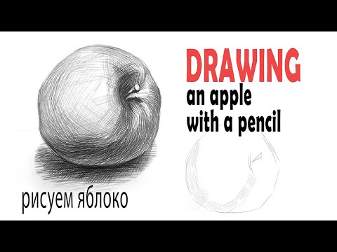 How to draw an apple with a pencil/Как рисовать яблоко карандашом/for beginners/для начинающих