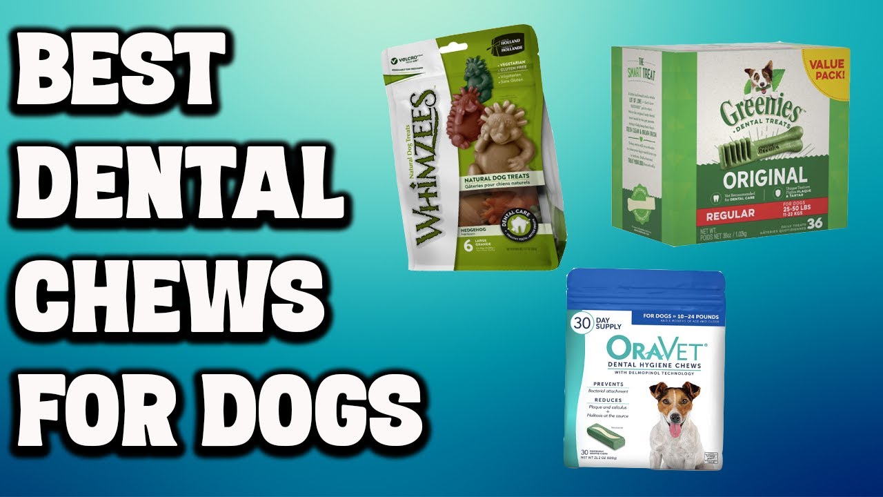 Best Dental Chews For Dogs | Top 5 Dog Dental Chews