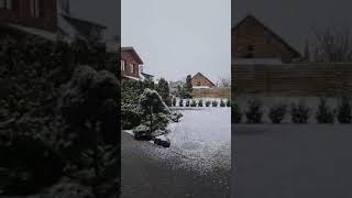 #Литва #весна #снег #холод #Lithuania #spring #snow #cold