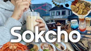 속초여행vlog🇰🇷 속초만 n번째🙌🏻 필수코스 추천! 먹보즐 또간집🍤. 친구 속초 구경시켜주기(맛집, 속초중앙시장, 칠성조선소, 88생선, 아바이마을, 해수욕장)