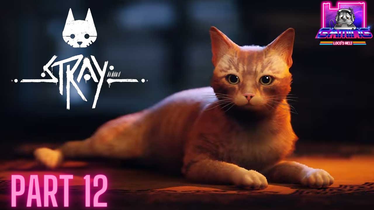 12. Stray - Von der Disco in den Knast | Steam | 4K/60fps | Deutsch |