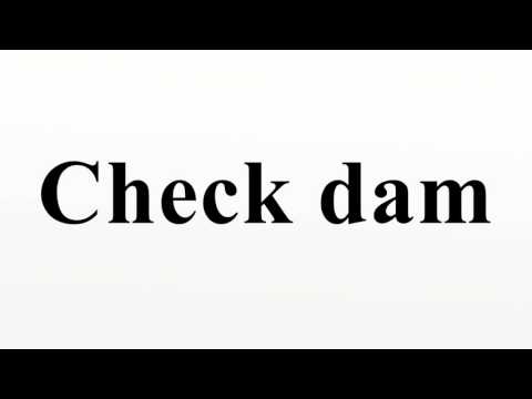 Check dam