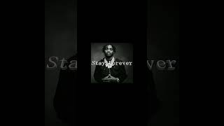[FREE] Lil Tjay x Polo G Type Beat - &quot;Stay Forever&quot; #typebeat #painbeats #beats