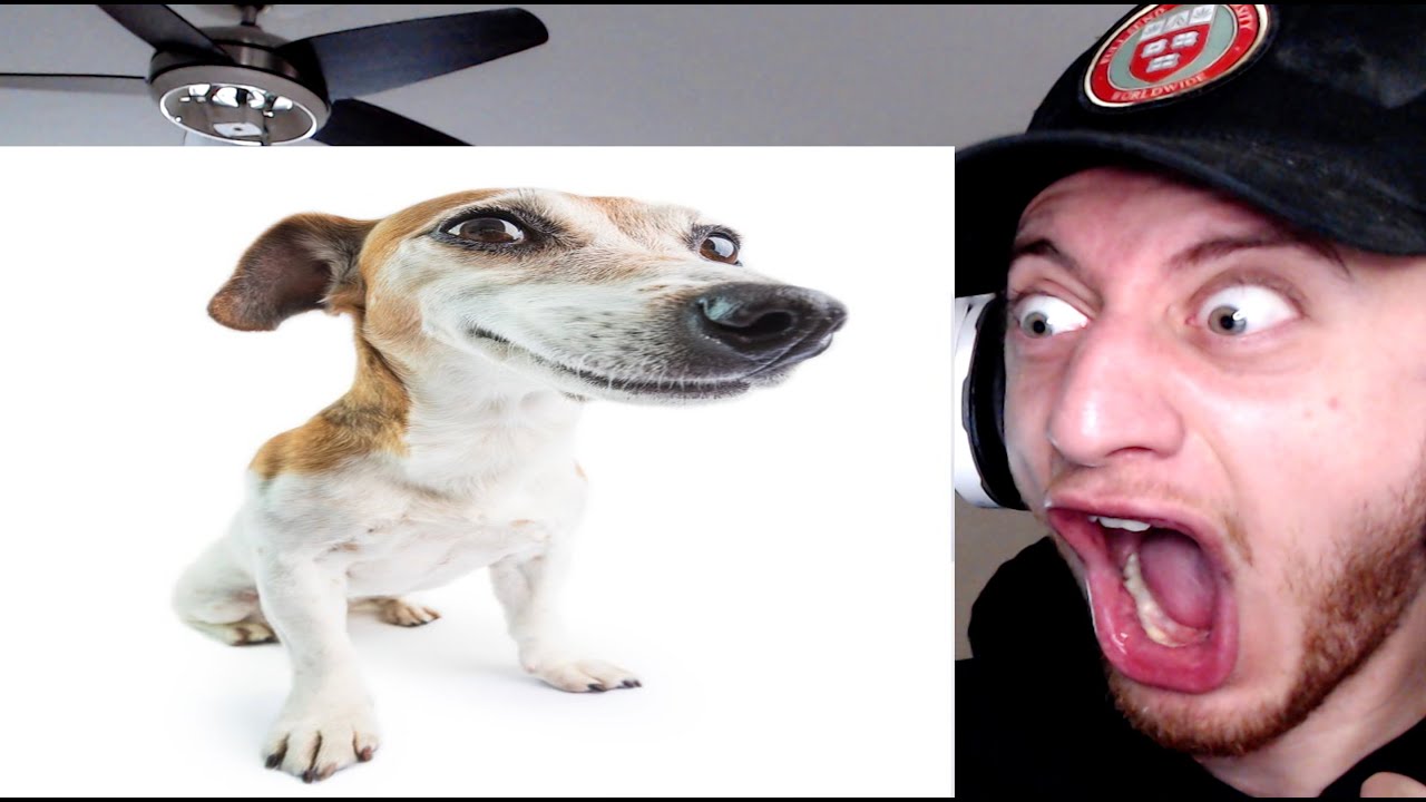 You Laugh You Lose Your Balls YouTube You Laugh You Lose Your Balls YouTube
