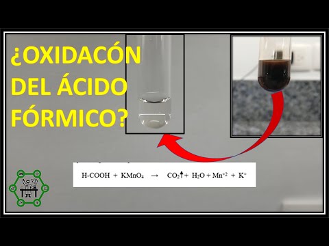 Vídeo: Diferencia Entre ácido Metanoico Y ácido Etanoico