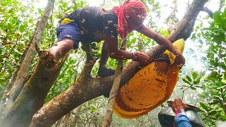 🐝🐝Honey hunting in sundarban forest.🍯🐝🐝@ZEROPOINTSUNDARBAN