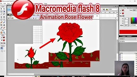 Assignment 1 (221011050327) Rose Flower Animation with Macromedia Flash