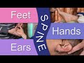 How to Locate the Spine on the Feet Hands and Ears in Reflexology