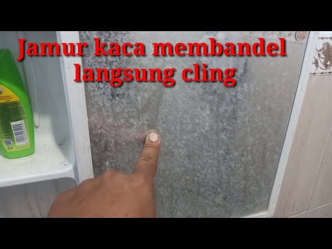 Wow..Cara Mudah Membersihkan Jamur Kaca