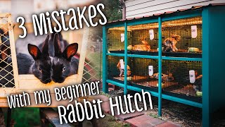 3 Mistakes with My Beginner Rabbit Hutch
