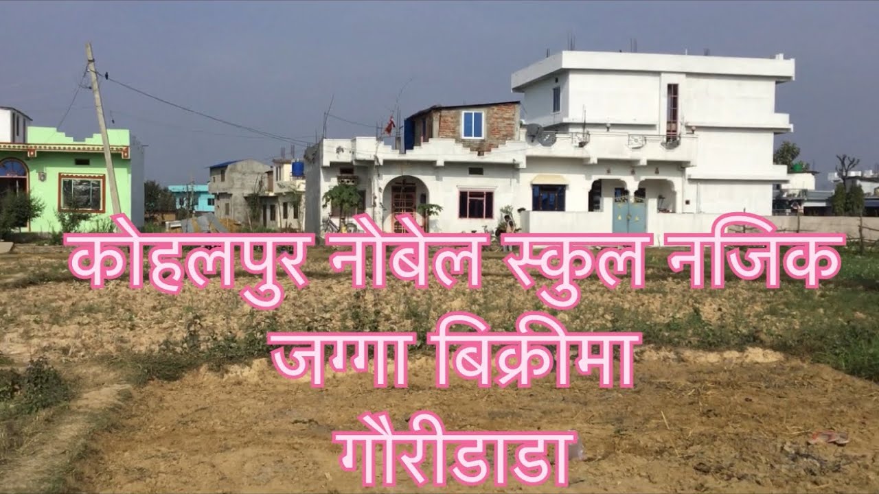 Land for sale ghaderi bikrima Kohalpur 9 dhur price 15 lakh call