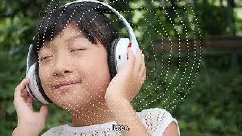 Dolphin Semiconductor corporate video