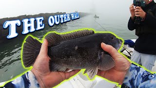 Tautog fishing at outer wall in Lewes Delaware.