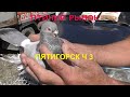 16.08.20. Птичий рынок г. Пятигорск ч3.16.08.20. Bird market, Pyatigorsk, part 3