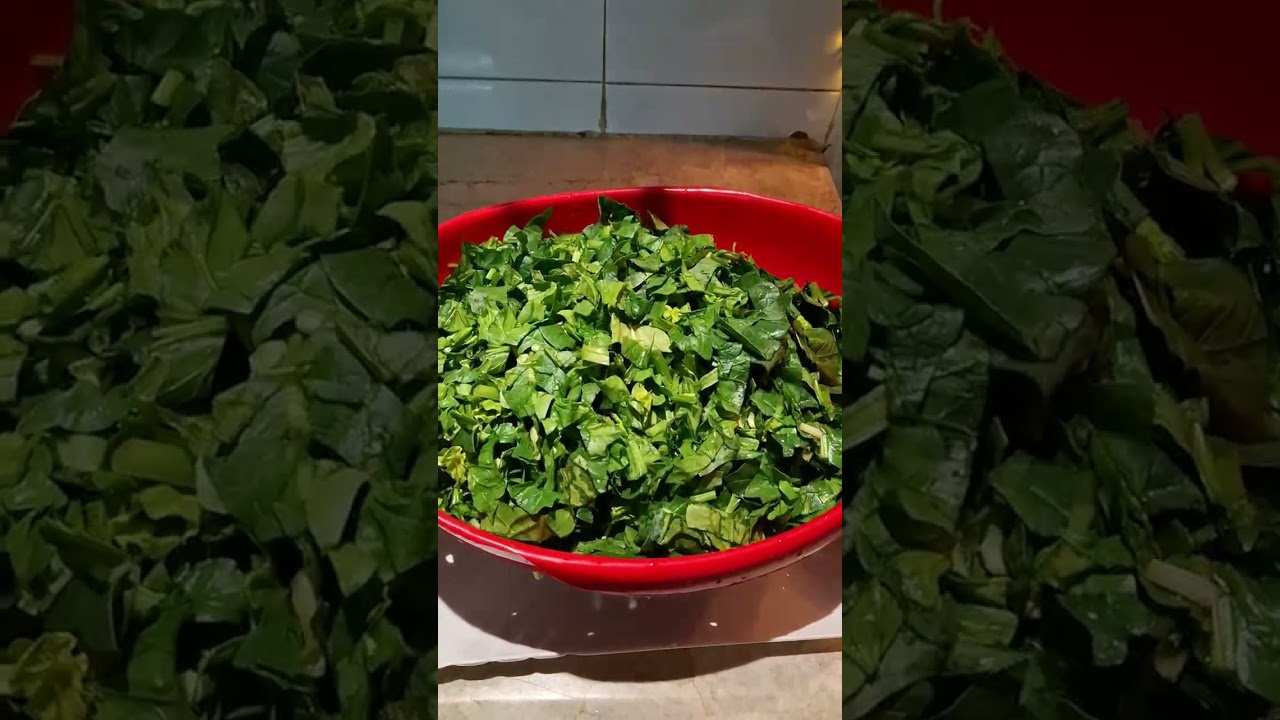 سبانخ ع طريقة دنيا 😋