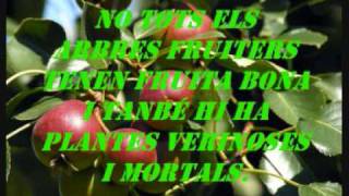 bioma Boscos tropicals