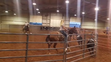 Rose Up To The Top - Ranch Sorting