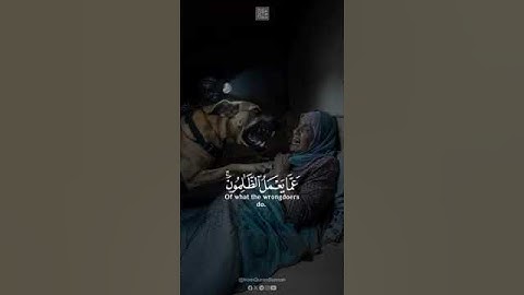 ولا تحسبن الله غافلاً عما يعمل الظالمون| احترام القرآن الكريم| لا تنسوا الدعاء لأهلنا في فلسطين 🇵🇸🇵🇸