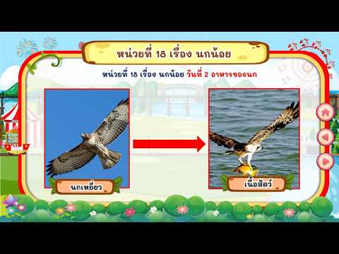 3 อาหารของนก