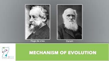 MECHANISM OF EVOLUTION