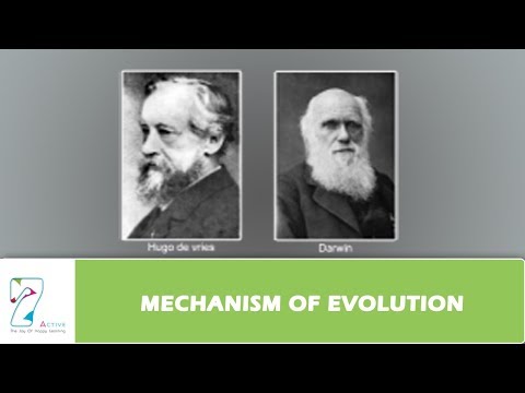 MECHANISM OF EVOLUTION