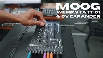 Moog Werkstatt-01 Analog Synth & CV Expander Demo