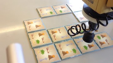 IFM Vision Sensors, Siemens PLC and Mitsubishi Movemaster Puzzle