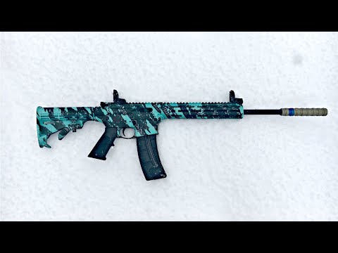 Smith & Wesson M&P 15-22 : 1st Look