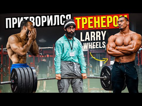 Видео: Притворился ТРЕНЕРОМ LARRY WHEELS #16 | ПРАНК В ЗАЛЕ