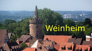 Exotenwald und Schlosspark in Weinheim