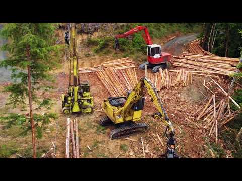 McPherson's Timber Tower logging