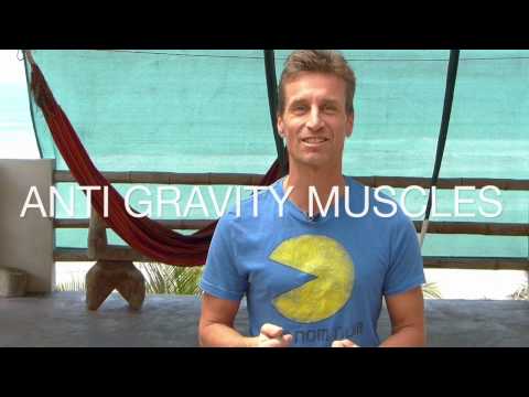 Anti Gravity Muscles of the Feet