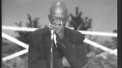 DeFord Bailey - Pan American Blues
