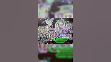 Đồng quê thiên hạ thái bình ốc đỏ lửa vàng chanh singapore - 0976789260