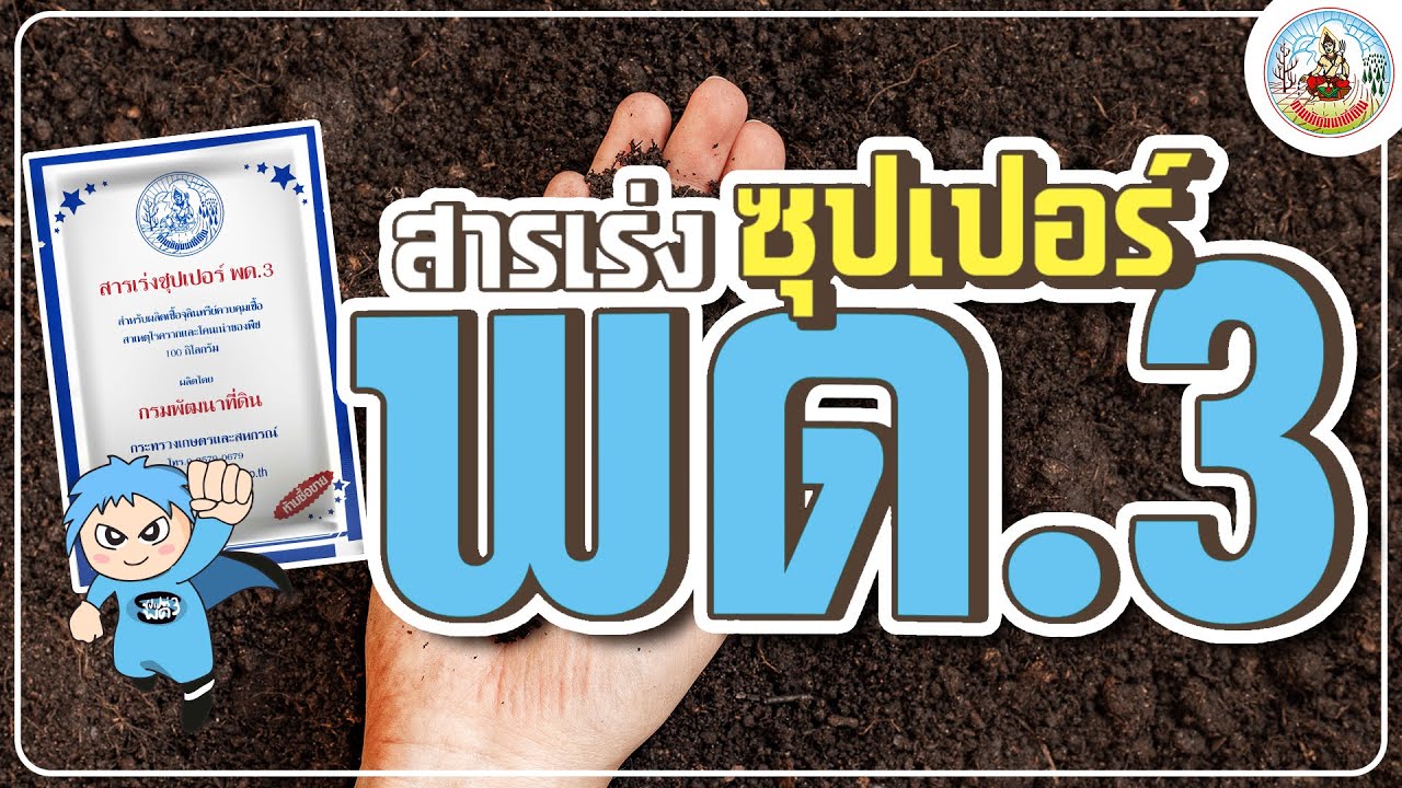 กรมพัฒนาที่ดิน-สารเร่งซุปเปอร์ พด.3 ปราบศัตรูพ่ายหายราก-โคนเน่า