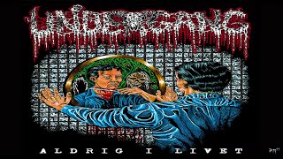 • UNDERGANG - Aldrig i livet [Full-length Album](Old School Death Metal)