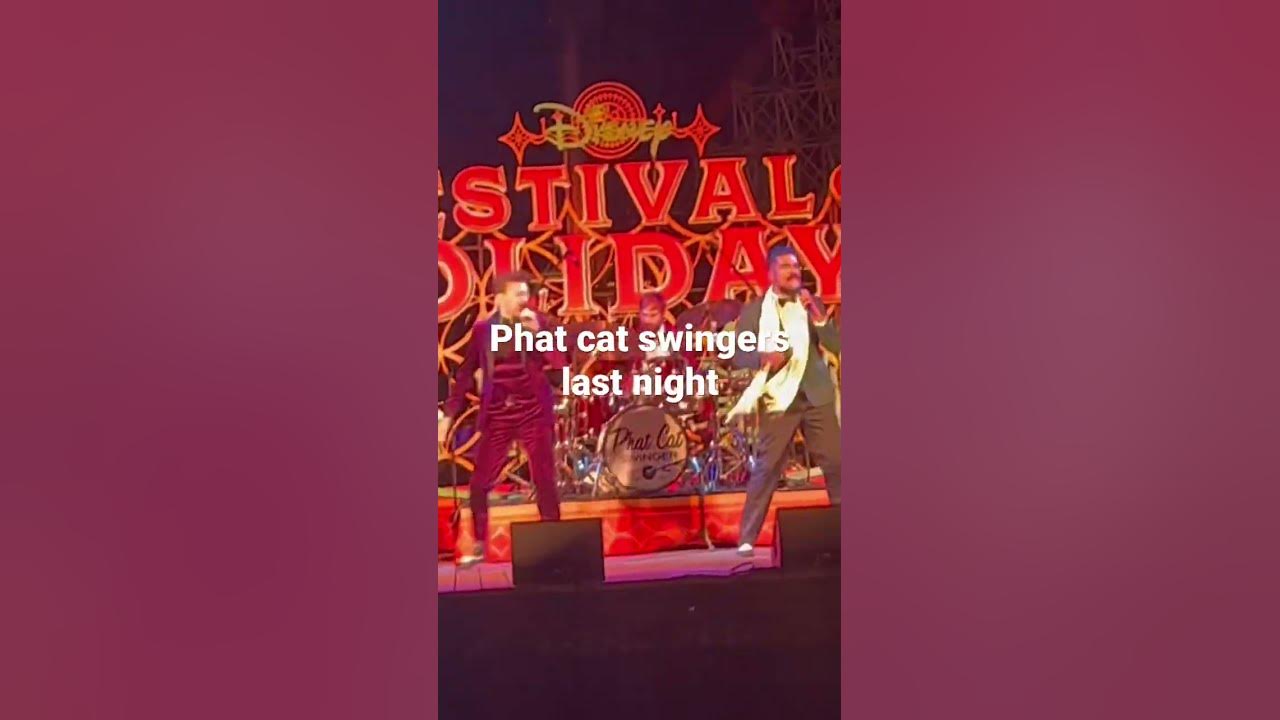 Phat cat swingers concert