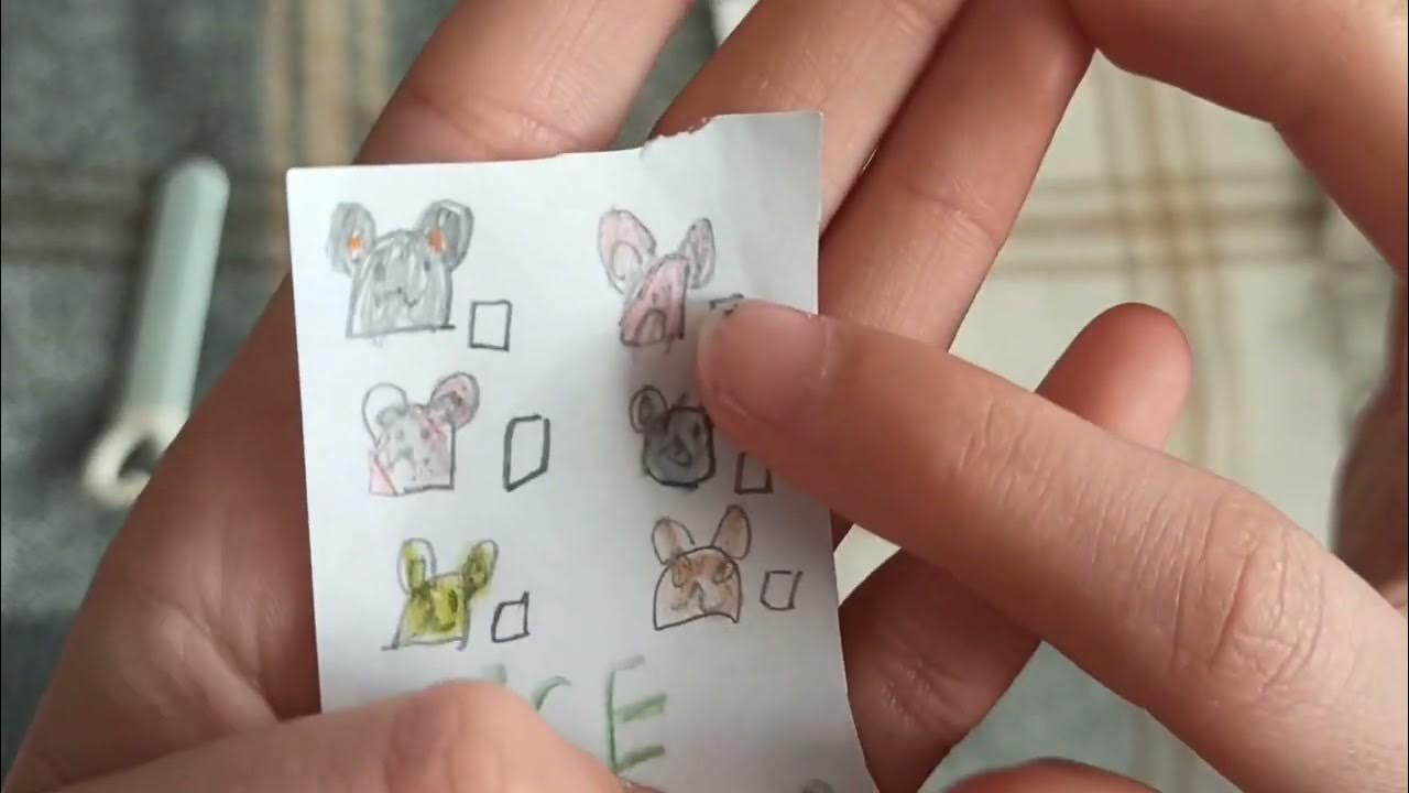 Мышка из ватных дисков аппликация. Мышонок из цветной бумаги. Мышки и сыр поделка из бумаги. Мышка в сыре. Сыр с мышкой из бумаги.