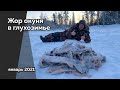 ГЛУХОЗИМЬЕ. ОКУНЬ НА КАЖДОМ ЗАБРОСЕ