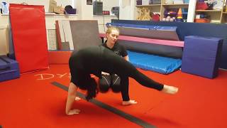 Living room gymnastics - Conditioning - Bridge rocking & kicks
