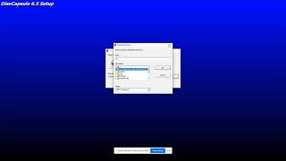 1. DISE Capsule Software(Installation Steps) screenshot 2