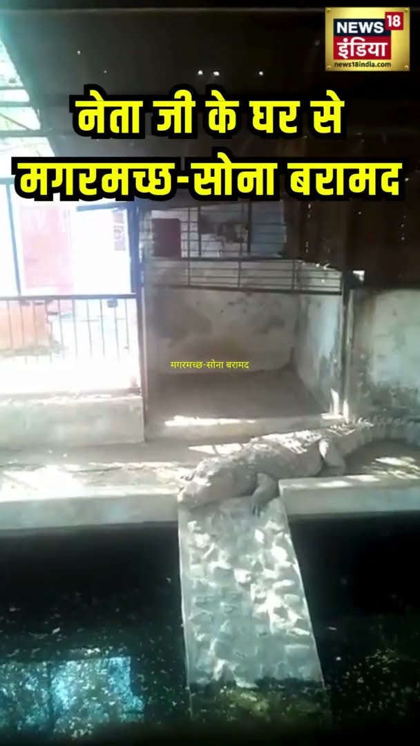 BJP के पूर्व विधायक के घर IT Raid | 14 KG सोना, 4 करोड़ कैश और तीन मगरमच्छ | News18 India