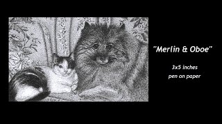 Cat & Dog - Realism Pen & Ink Pet Portrait Drawing on Paper - Time Lapse - Thomas Stanford Art
