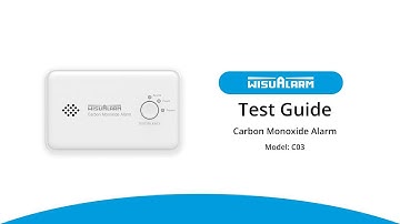 [English] Test Guide | Wisualarm 10 Years Carbon Monoxide Alarm