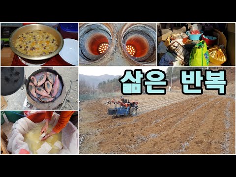 [귀촌귀농] 두둑뭉개기,고구마,연탄집개,팥죽,쇠주,5일장,두부만들기