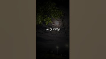 تلاوة خاشعة جميلة بصوت ياسر الدوسري ارح سمعك #ياسر_الدوسري #اكسبلور_فولو
