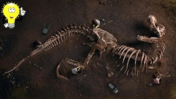 Wat dachten oude mensen over fossielen? (vóór de paleontologie)