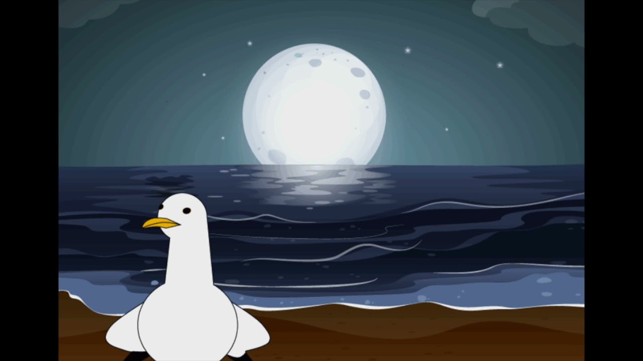 Möve Erwin und die Seehunde🦭 / Gute Nacht Geschichte💤 / mit 432 Hz